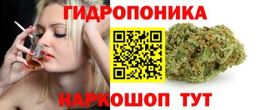 спиды Заволжье