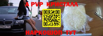 кокс Донской