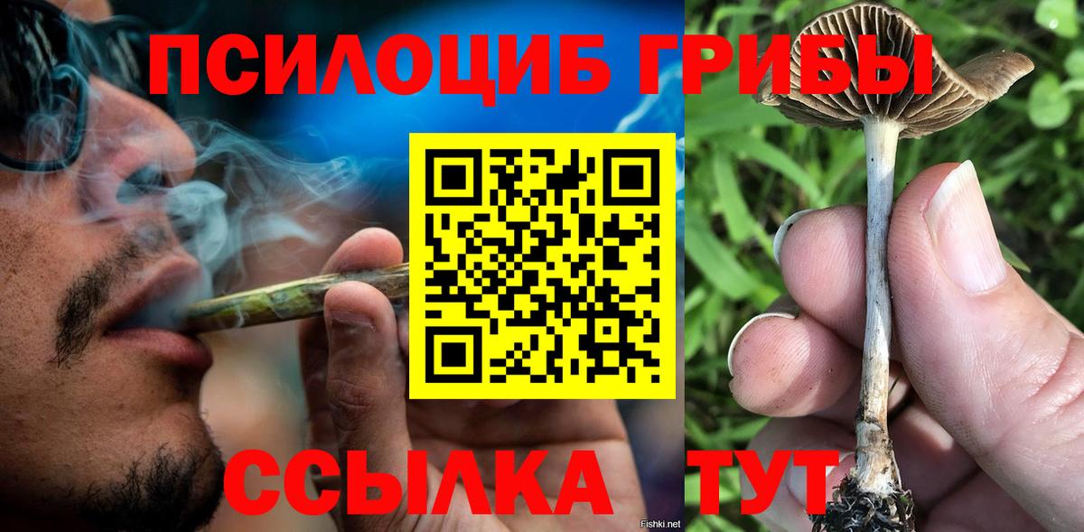 Псилоцибиновые грибы мицелий Лысьва
